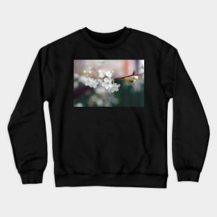 White Cherry flowers Crewneck Sweatshirt